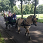 Iresine voor de kar